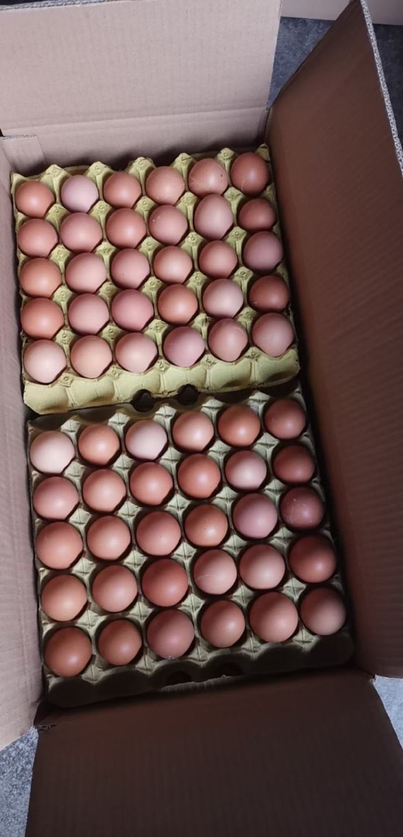 鸡蛋现货(鸡蛋现货连续亏损4个月) 鸡蛋现货(鸡蛋现货连续亏损4个月)