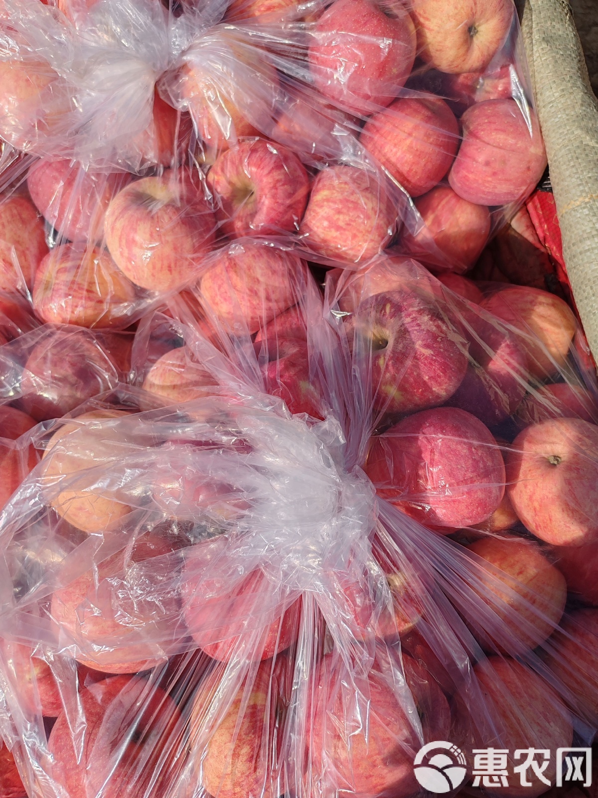 苹果现货(苹果现货库存)