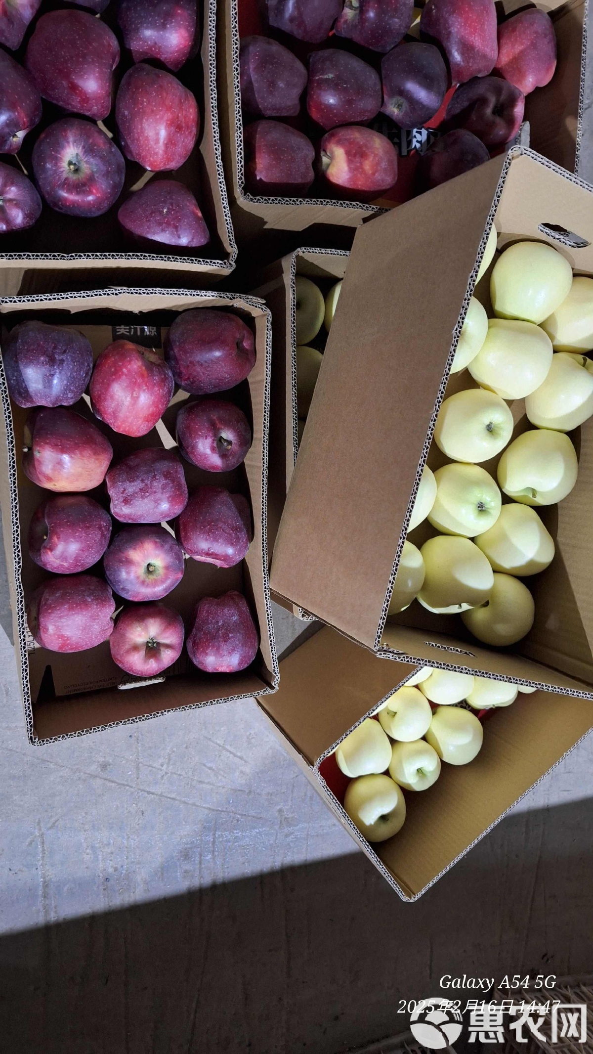 苹果现货(苹果现货库存)