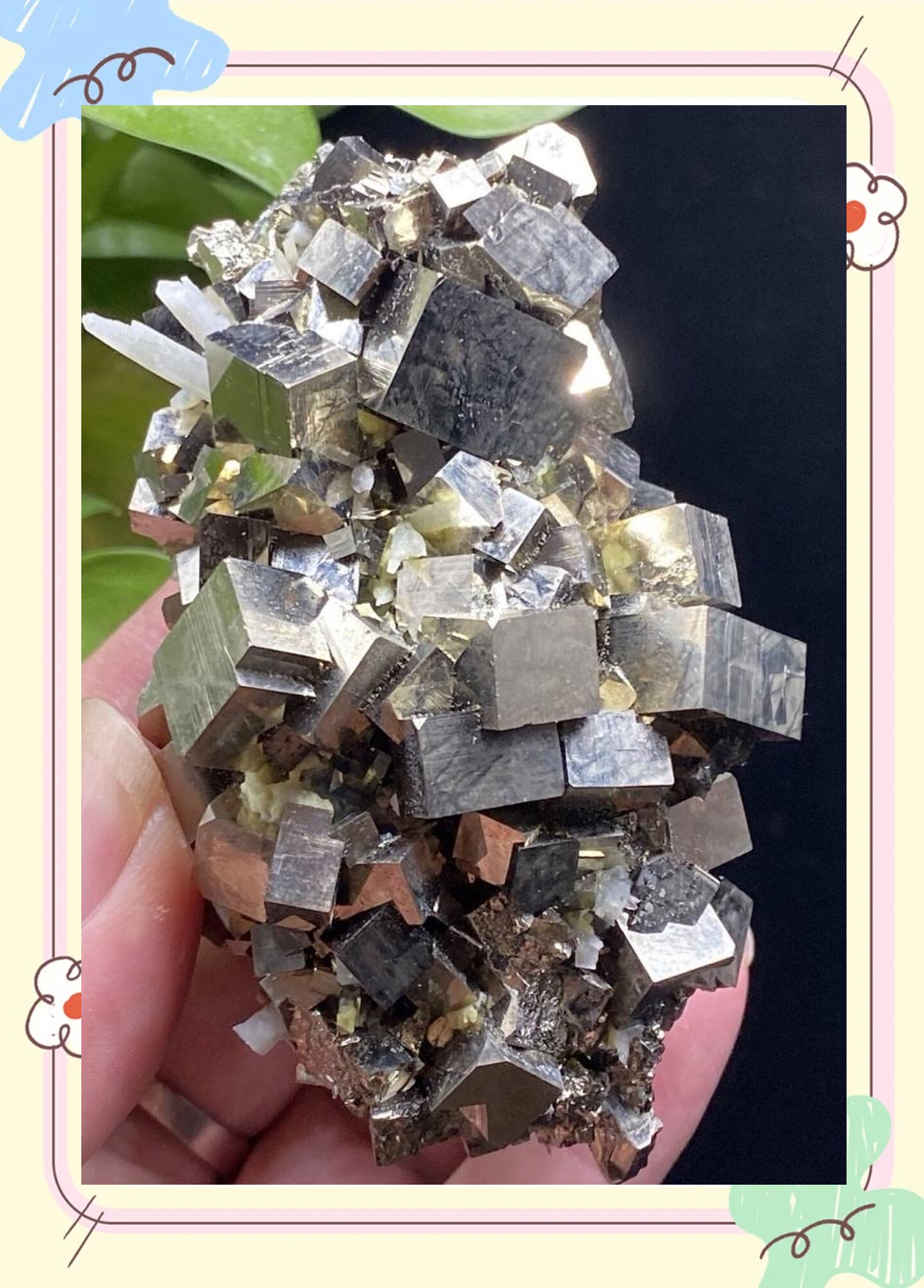 铁矿石现货(铁矿石现货最新价格)