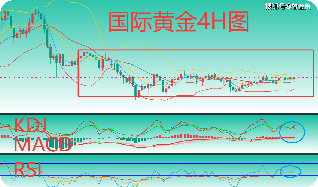 现货黄金金价(现货黄金金价走势图)