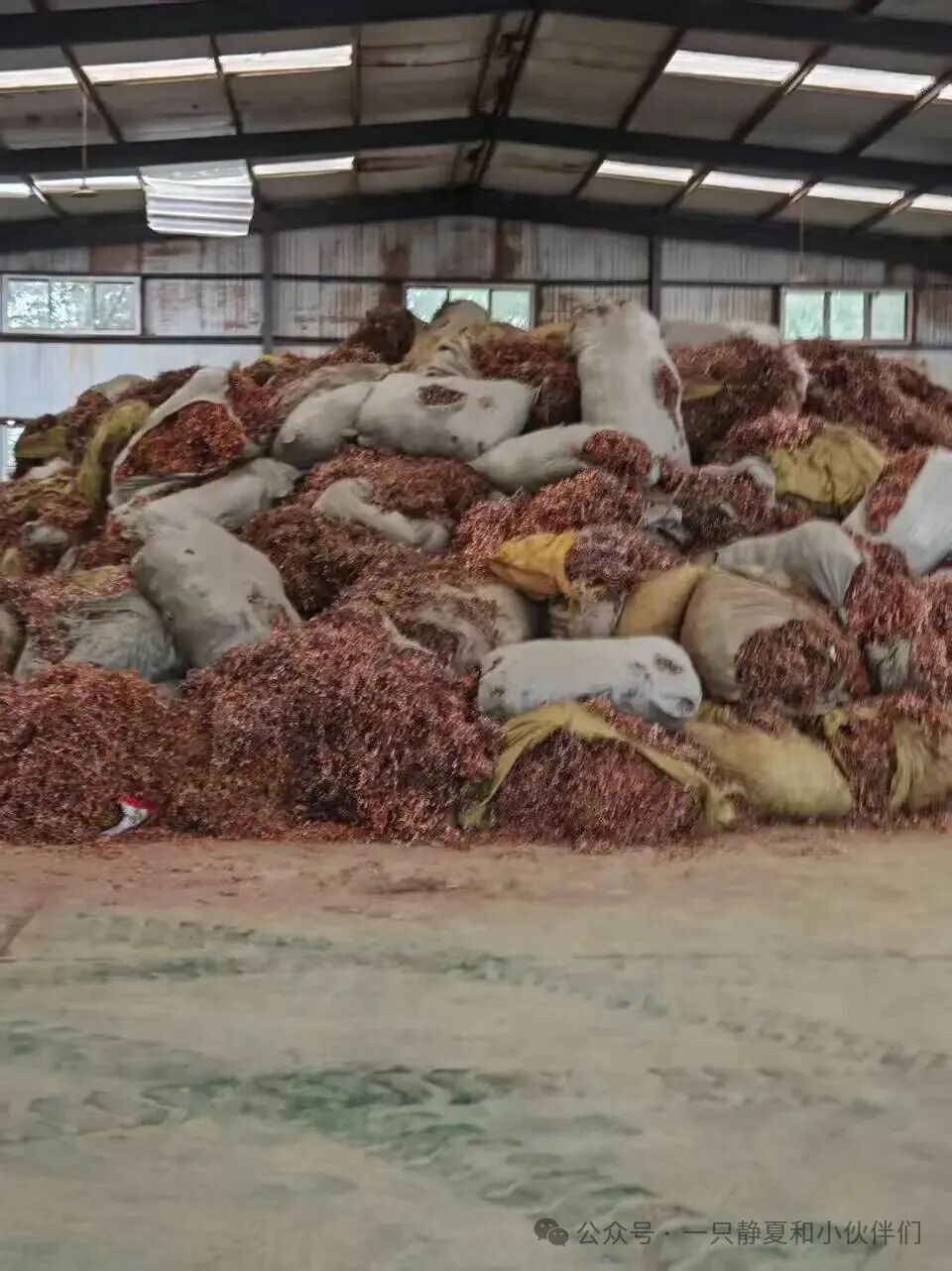 天然气现货(天然气现货价格指数)