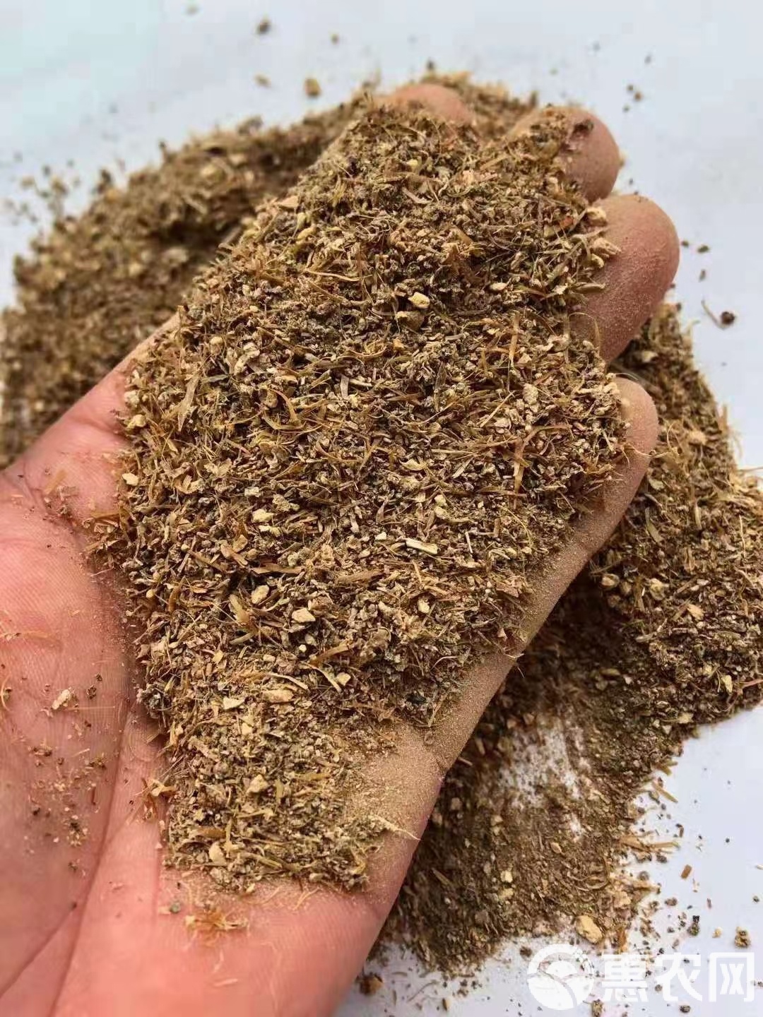 菜粕现货(菜粕现货最新消息) 菜粕现货(菜粕现货最新消息)