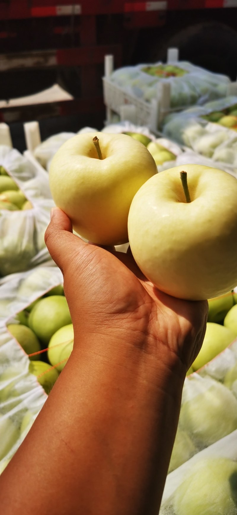 苹果现货(苹果现货价格走势图)