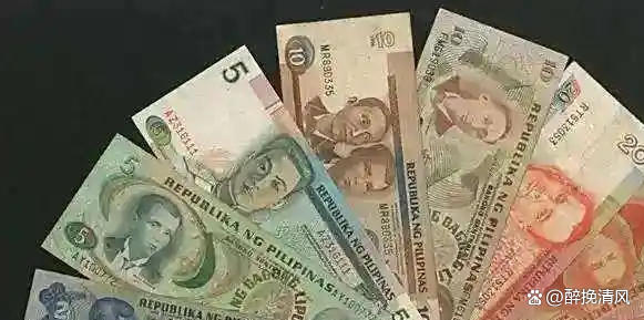 巴基斯坦货币(巴基斯坦货币10000折合人民币多少) 巴基斯坦货币(巴基斯坦货币10000折合人民币多少)