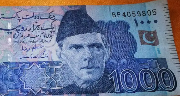 巴基斯坦货币(巴基斯坦货币10000折合人民币多少) 巴基斯坦货币(巴基斯坦货币10000折合人民币多少)