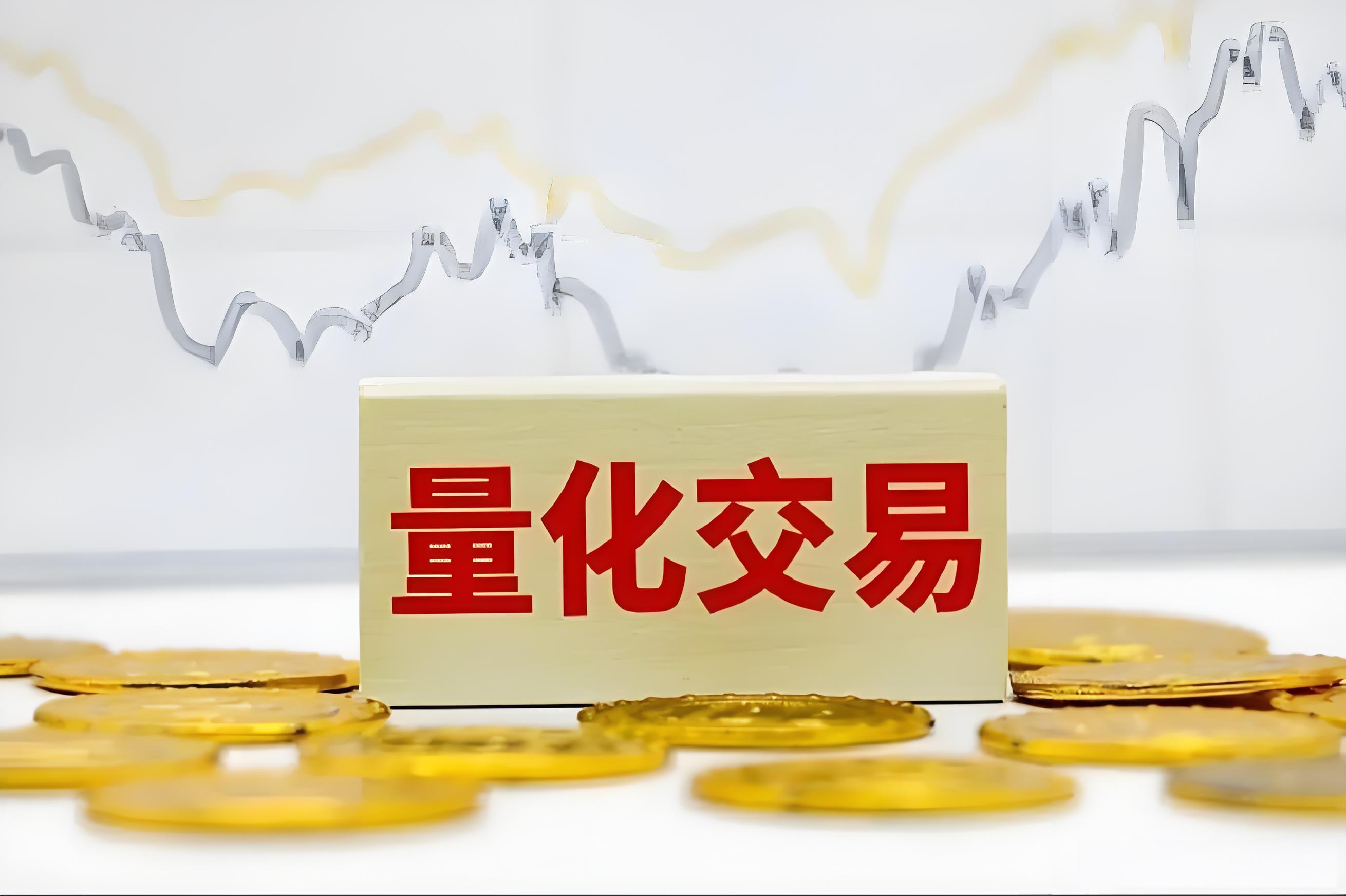 货币化(货币化安置)
