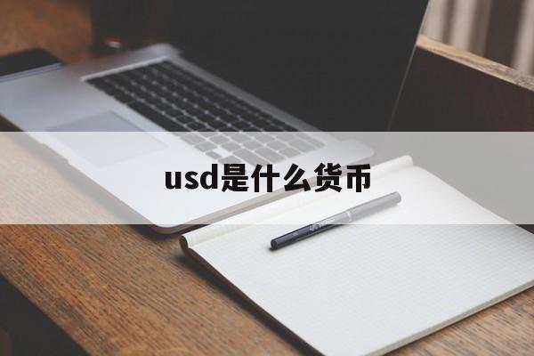 usd是什么货币(usd是什么货币汇率人民币)